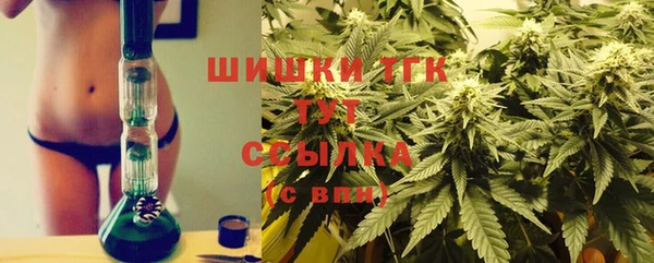 2c-b Вяземский